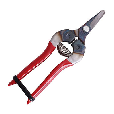 ARS 310 Fruit Pruners